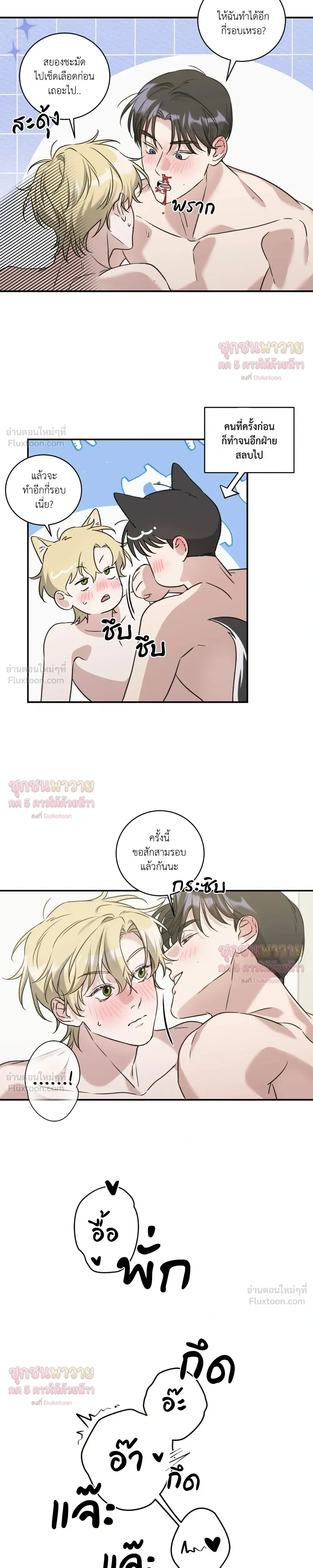 หน้า 15 จาก 19