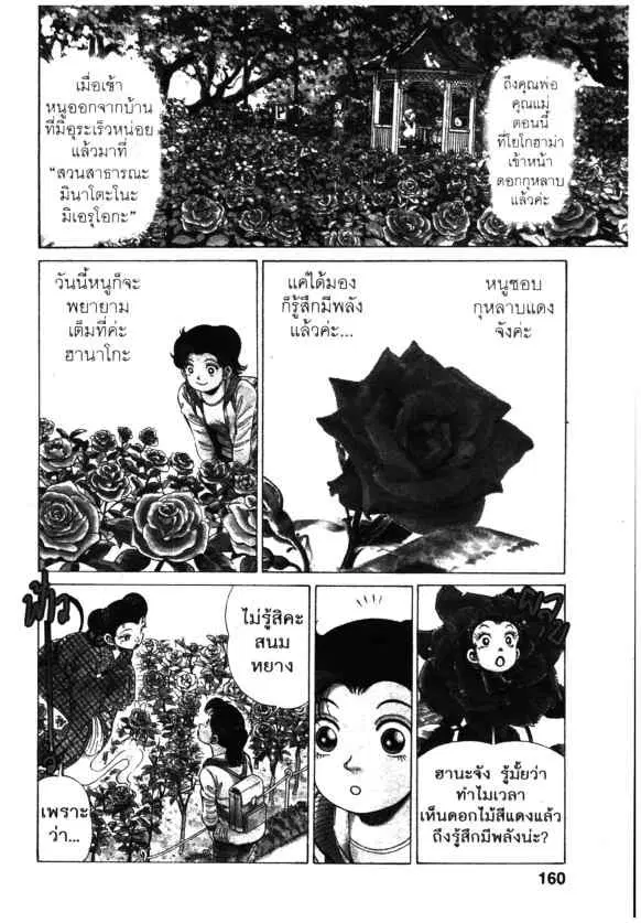 หน้า 2 จาก 26