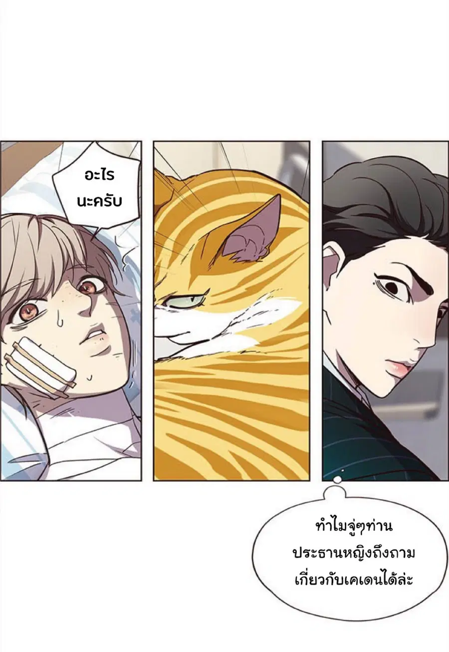 หน้า 41 จาก 96