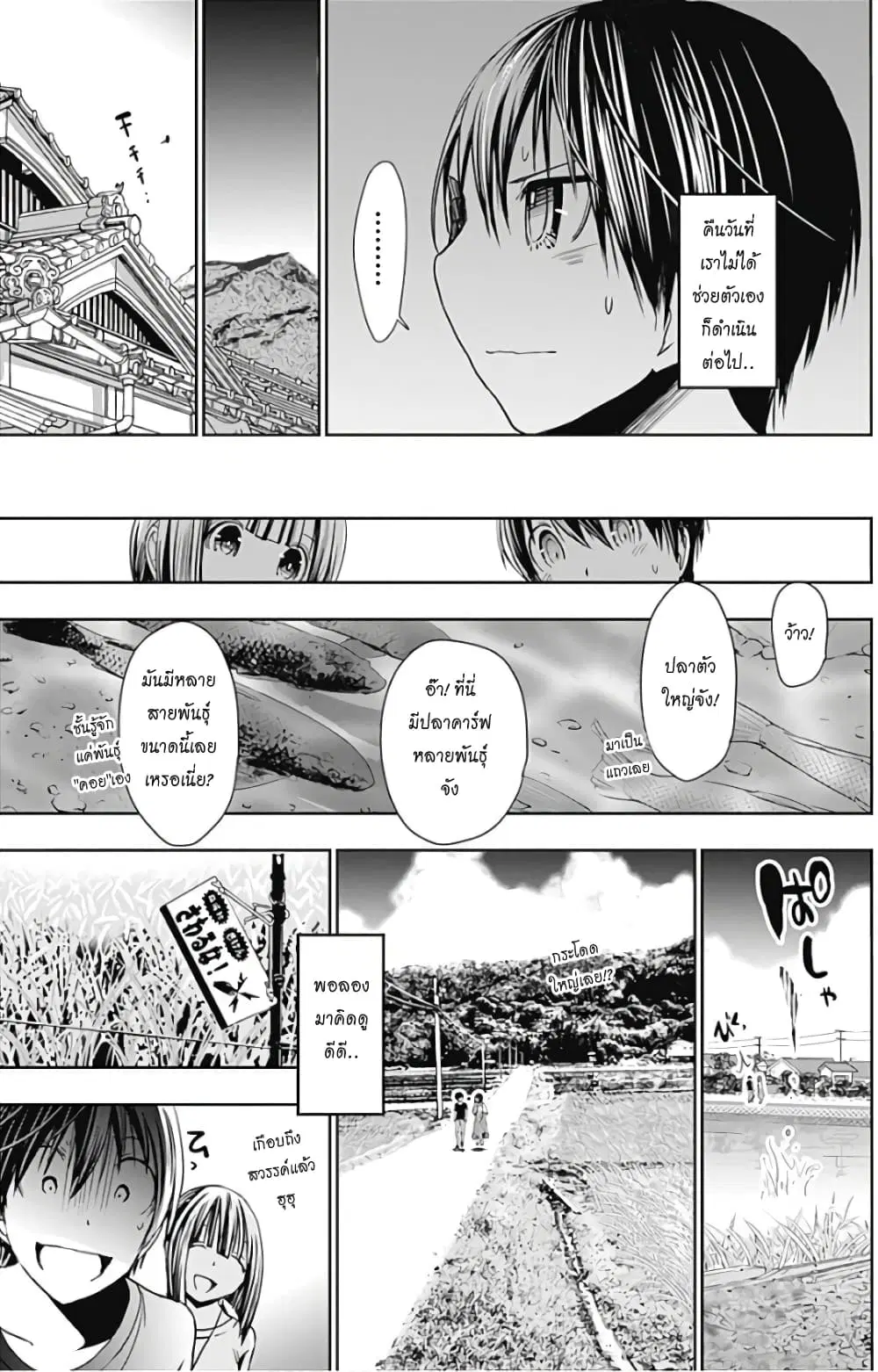 หน้า 4 จาก 10