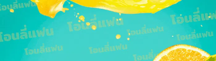 หน้า 11 จาก 11