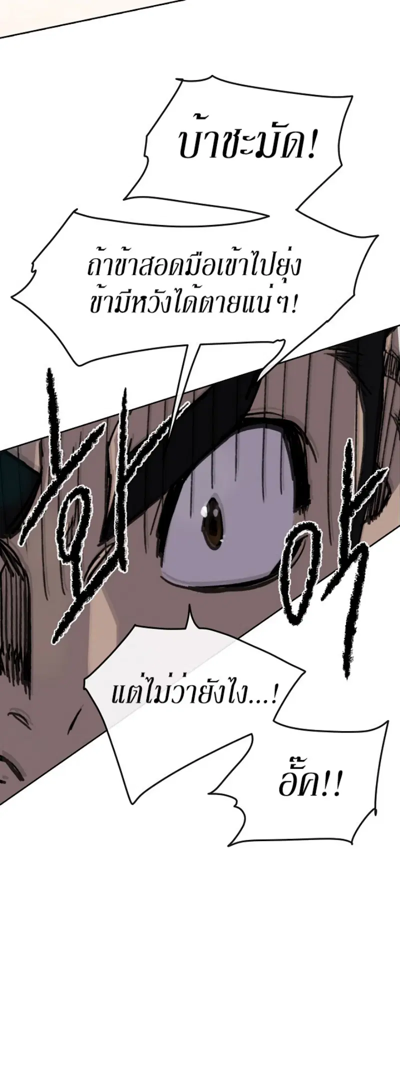 หน้า 5 จาก 51