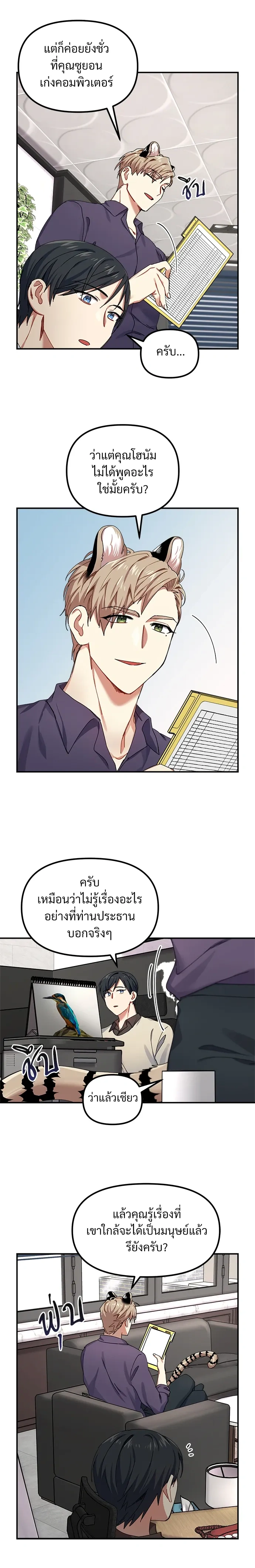 หน้า 13 จาก 17