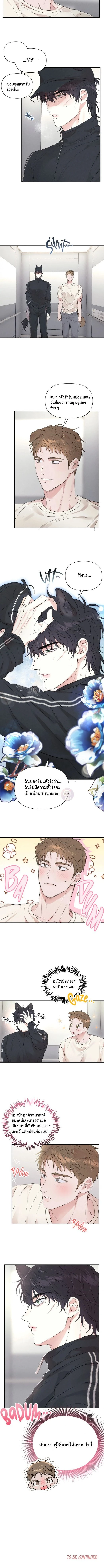 หน้า 7 จาก 7