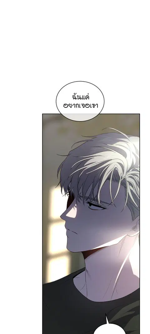 หน้า 45 จาก 100