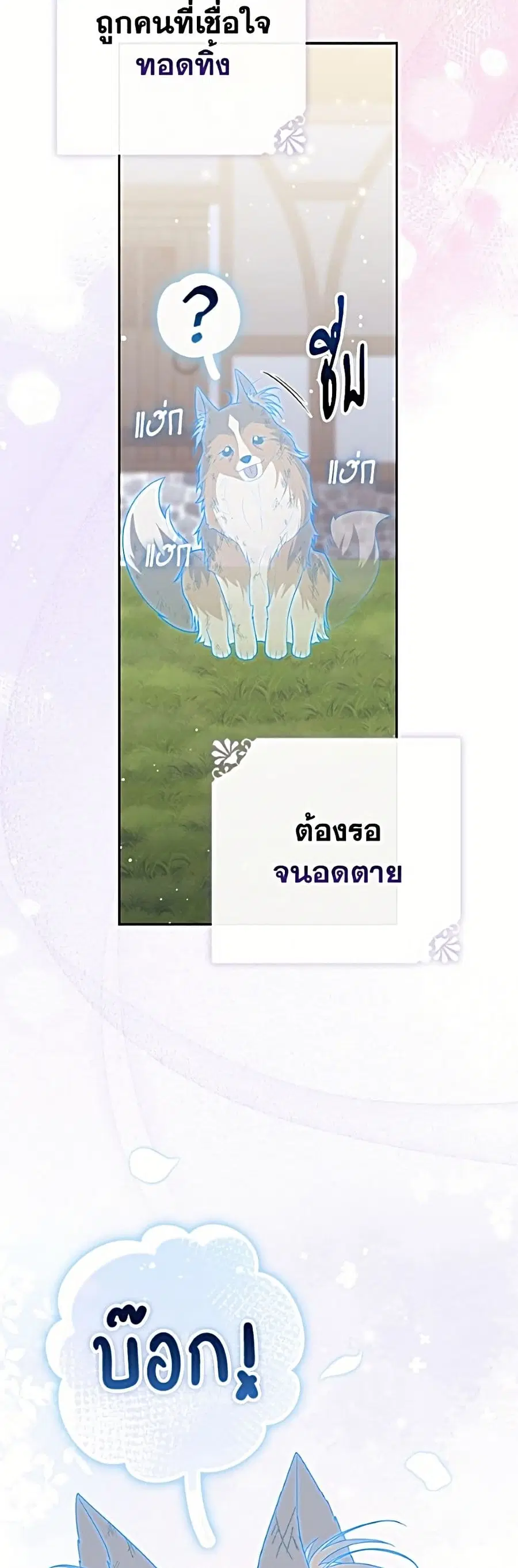 หน้า 48 จาก 52
