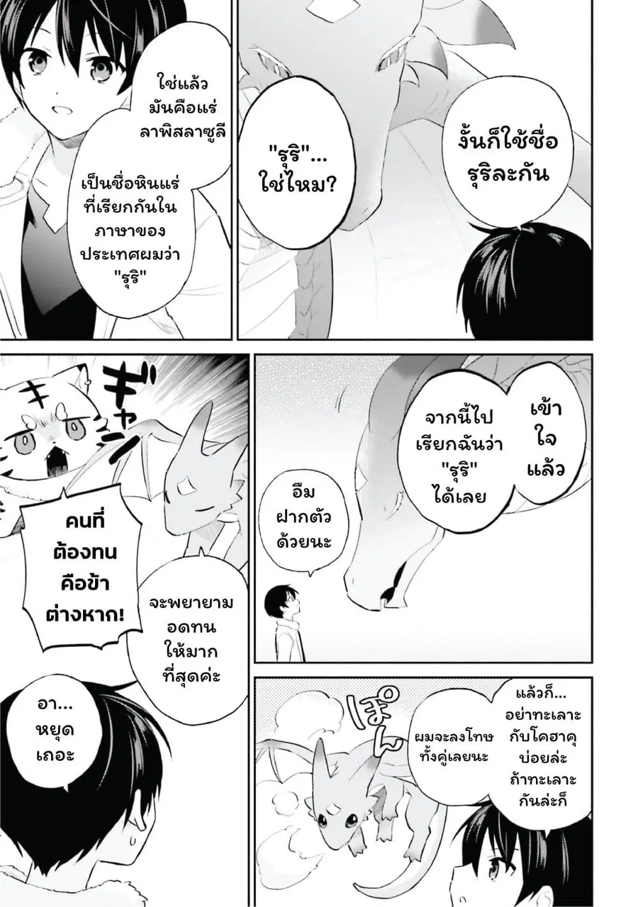 หน้า 17 จาก 29