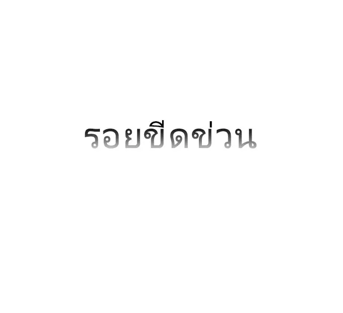 หน้า 50 จาก 104