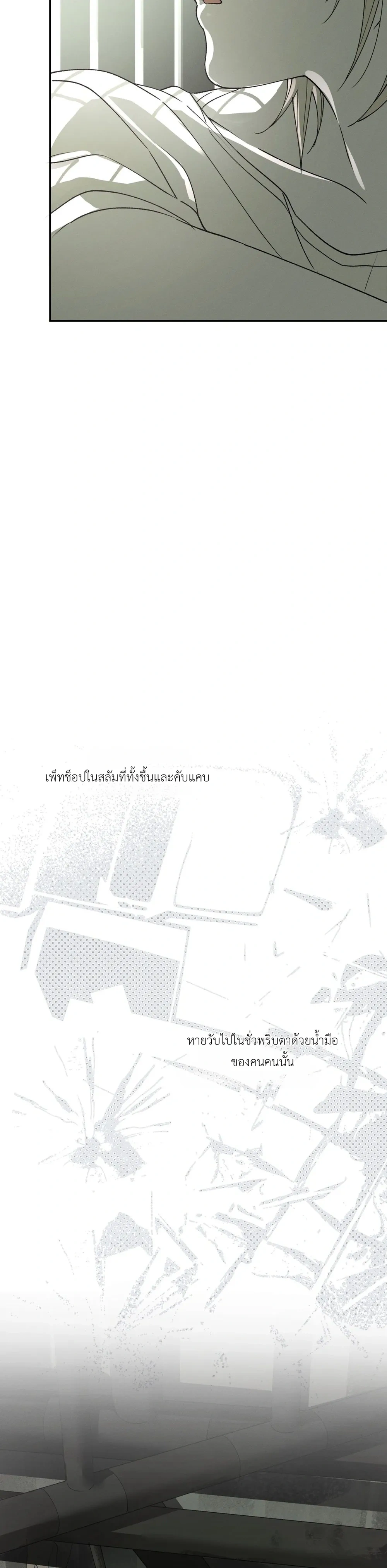 หน้า 6 จาก 29