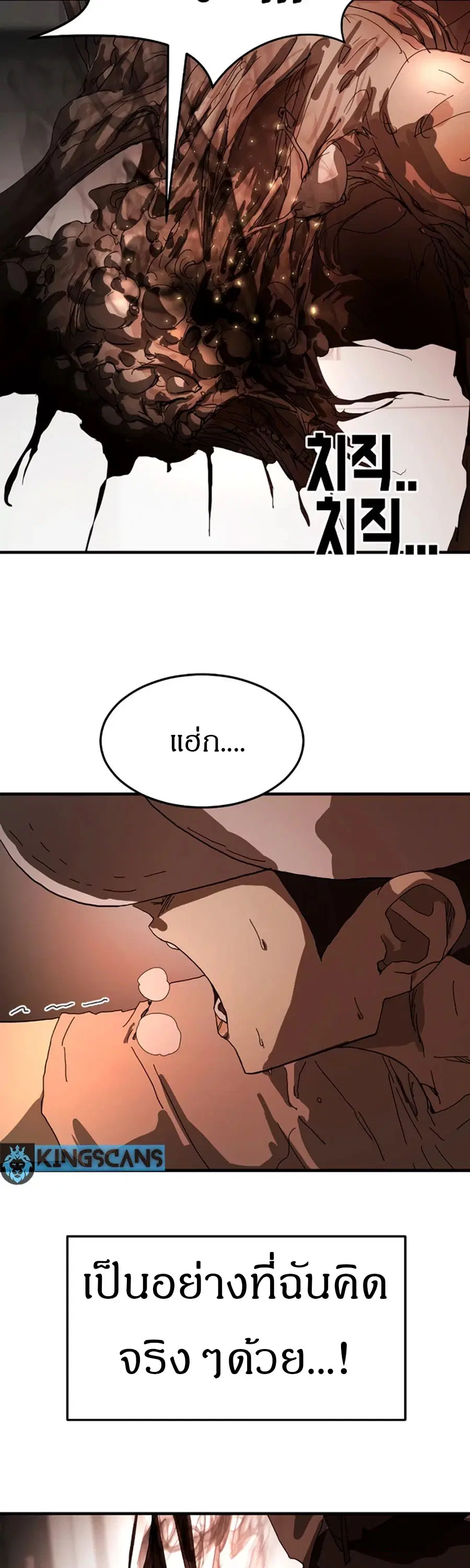 หน้า 14 จาก 67
