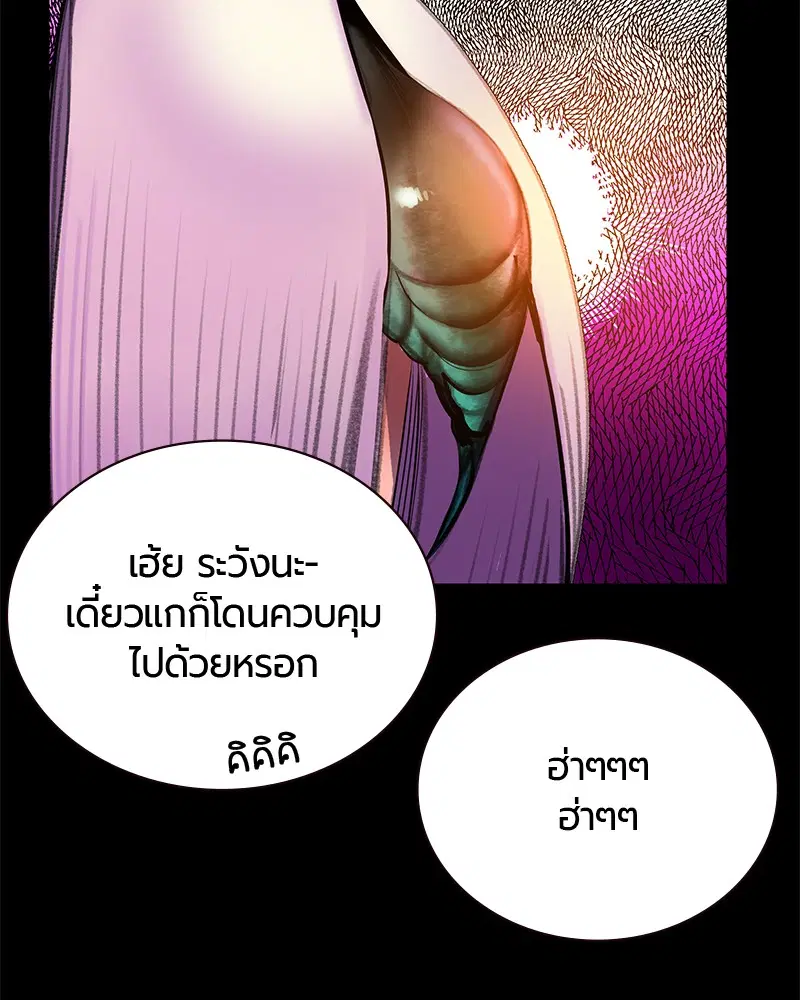 หน้า 80 จาก 164