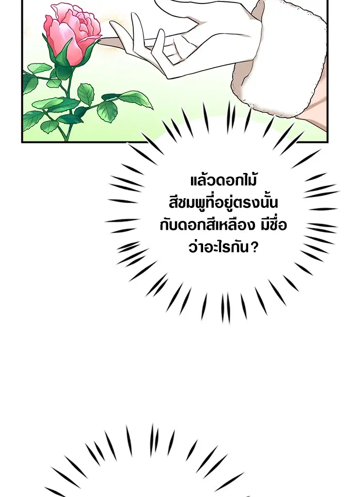 หน้า 71 จาก 91
