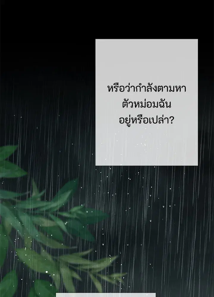 หน้า 55 จาก 165