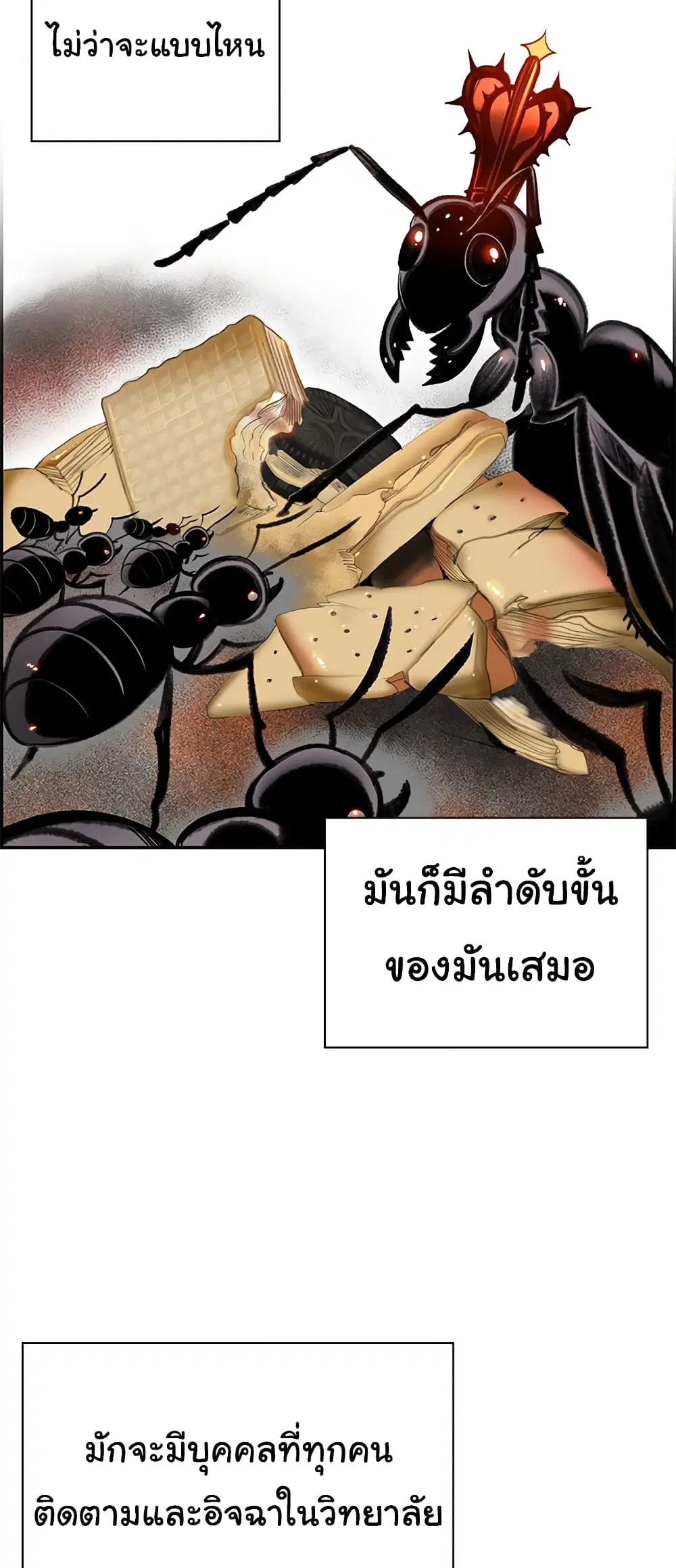 หน้า 17 จาก 43