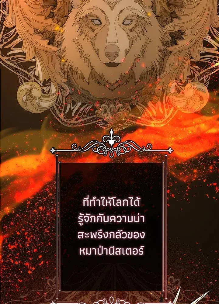 หน้า 41 จาก 149