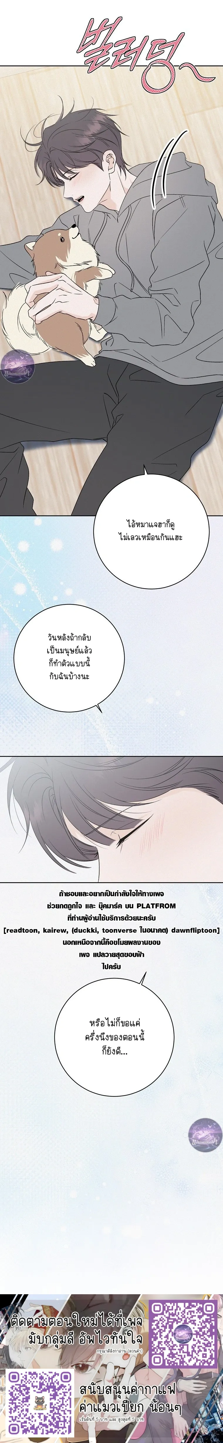 หน้า 22 จาก 22