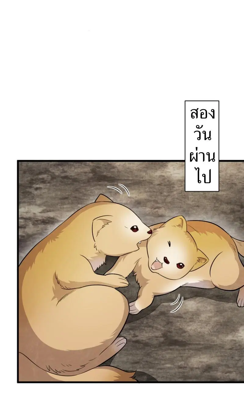หน้า 25 จาก 42