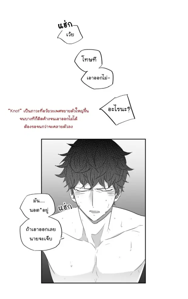 หน้า 23 จาก 40