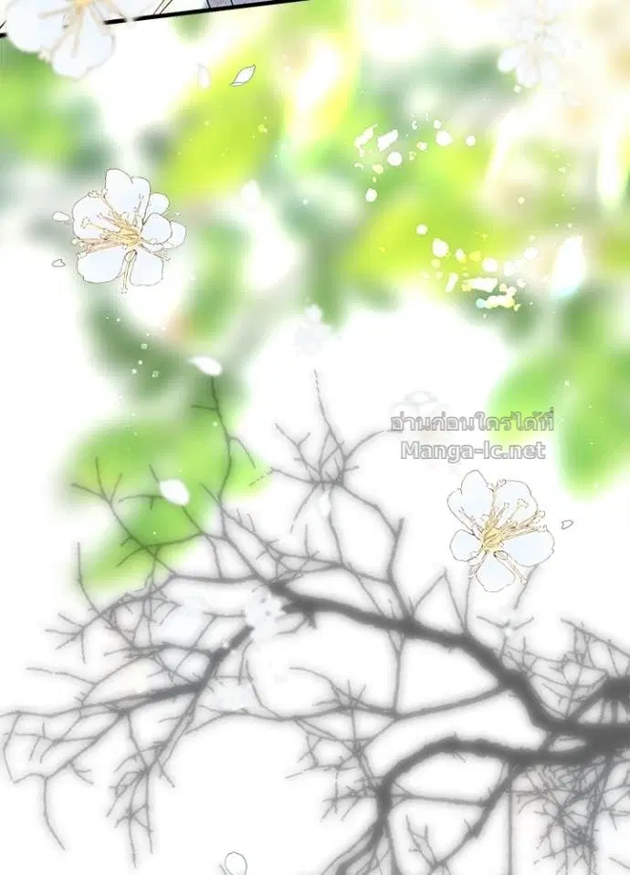 หน้า 71 จาก 158