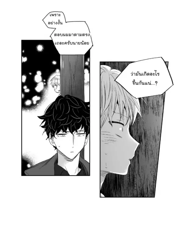 หน้า 12 จาก 43