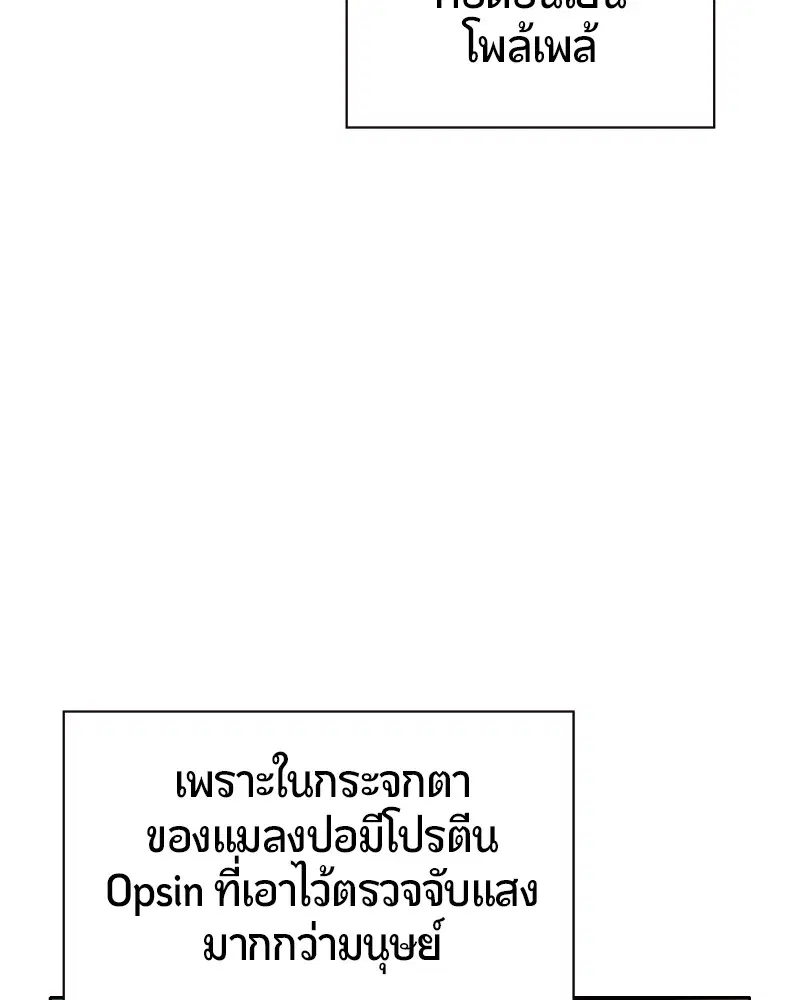 หน้า 140 จาก 165