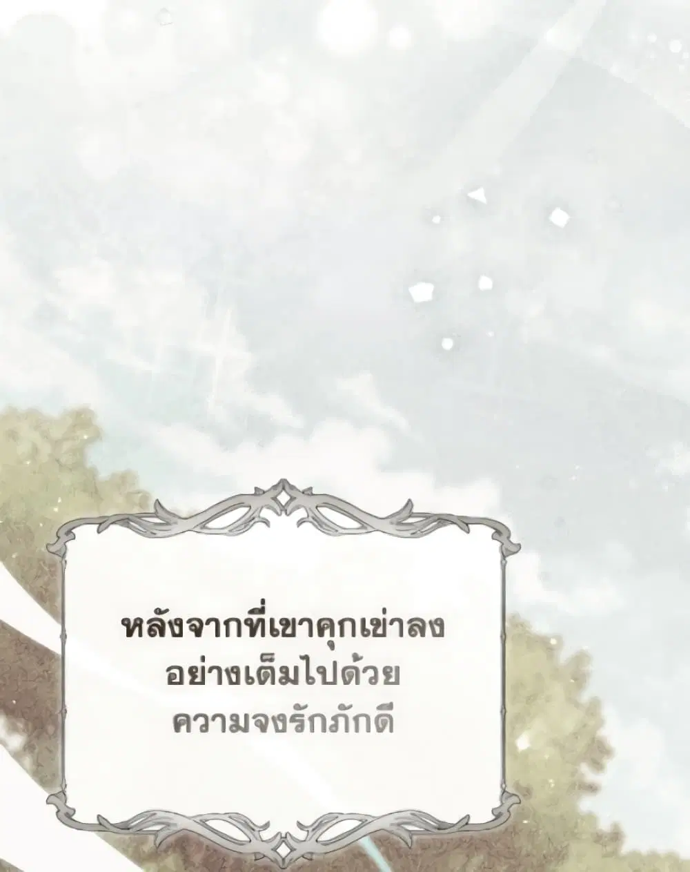 หน้า 36 จาก 81