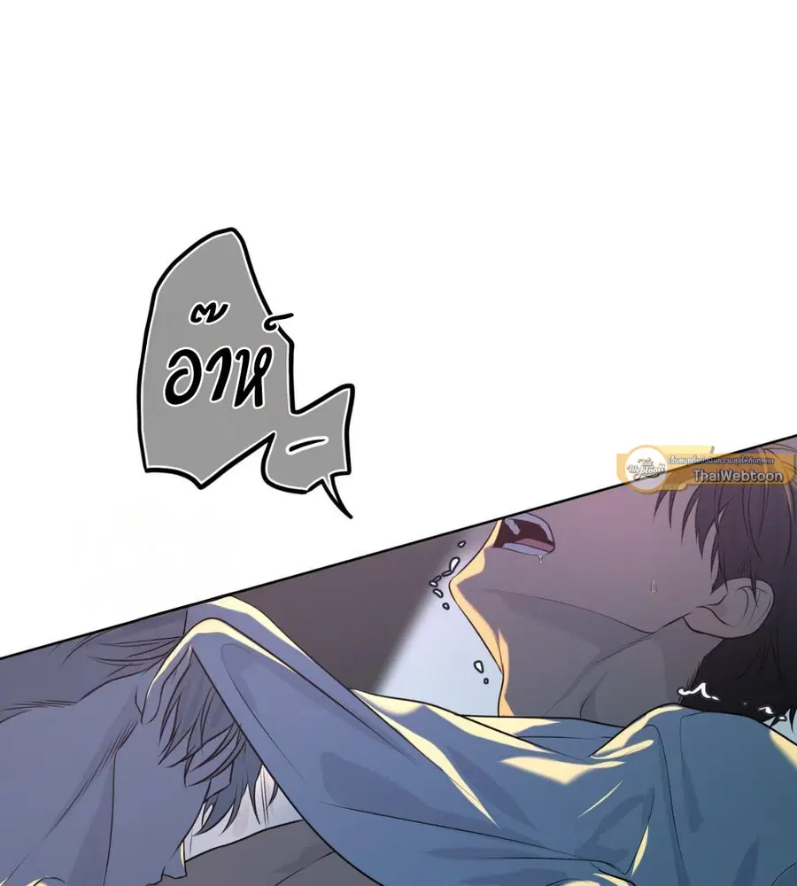 หน้า 43 จาก 127
