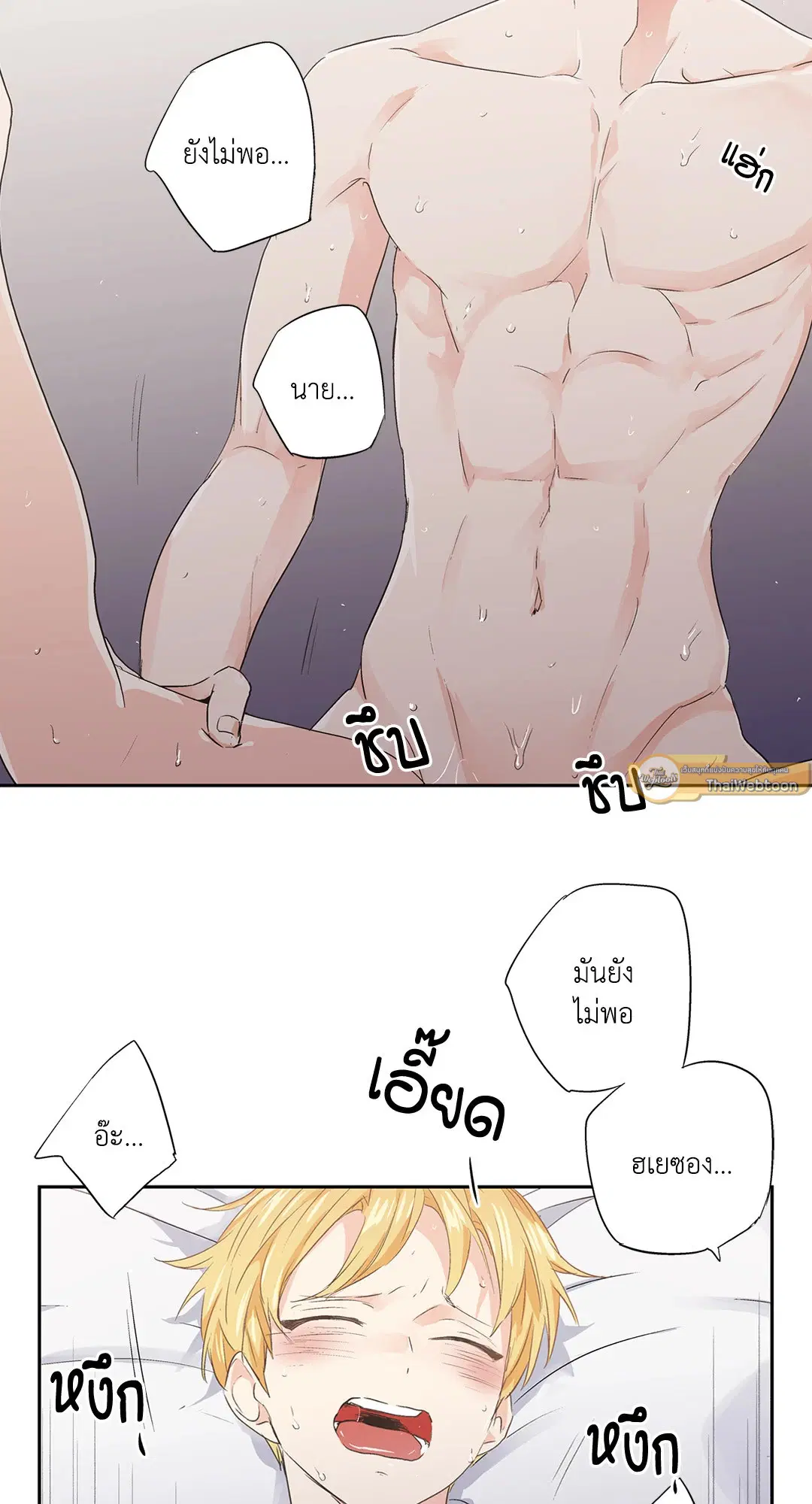 หน้า 42 จาก 53