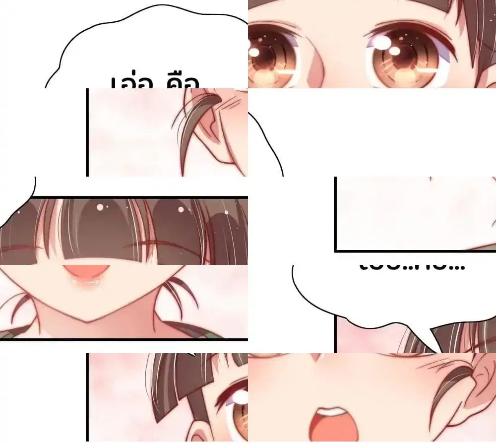 หน้า 3 จาก 11