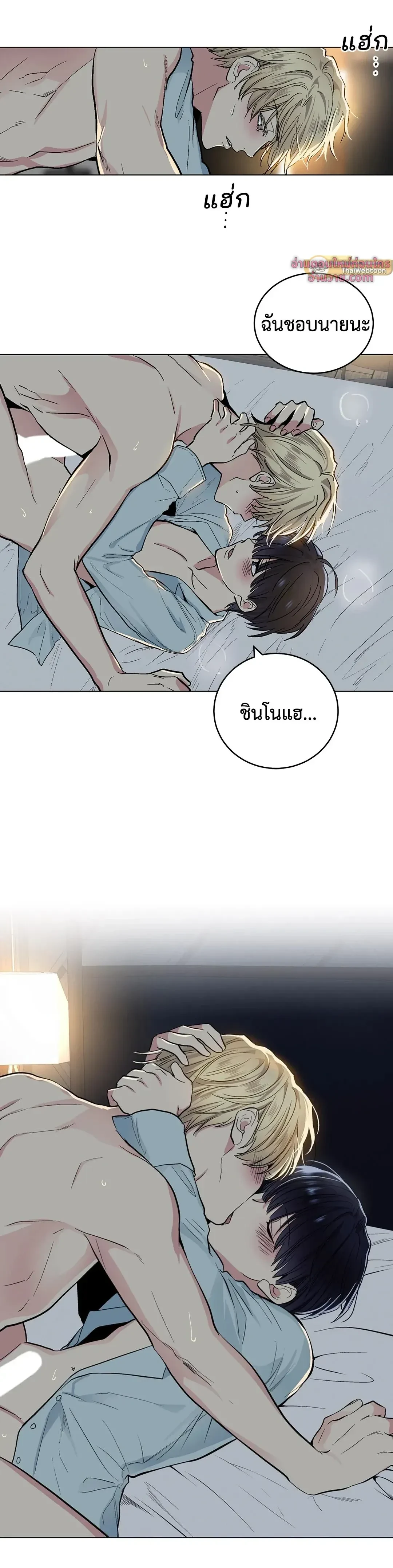 หน้า 12 จาก 12