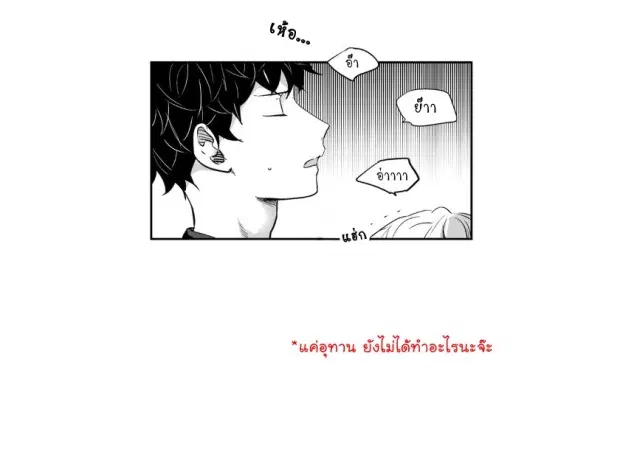หน้า 15 จาก 42