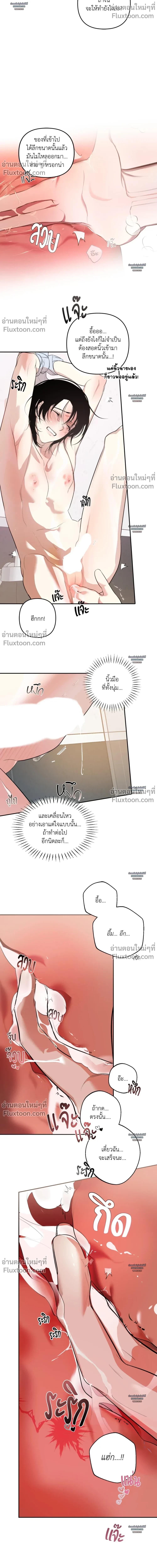 หน้า 16 จาก 31