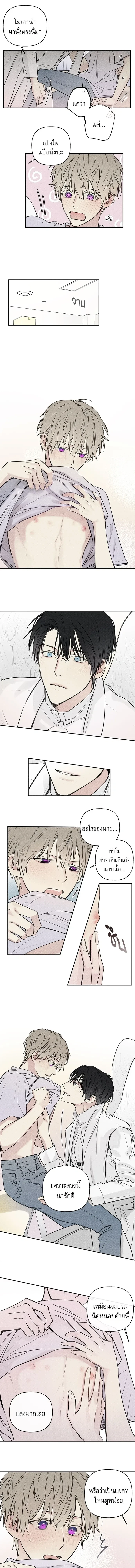 หน้า 3 จาก 8