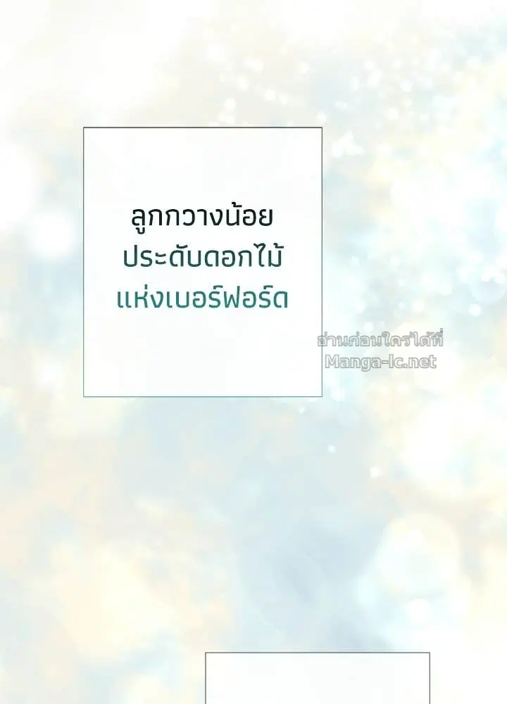 หน้า 51 จาก 158