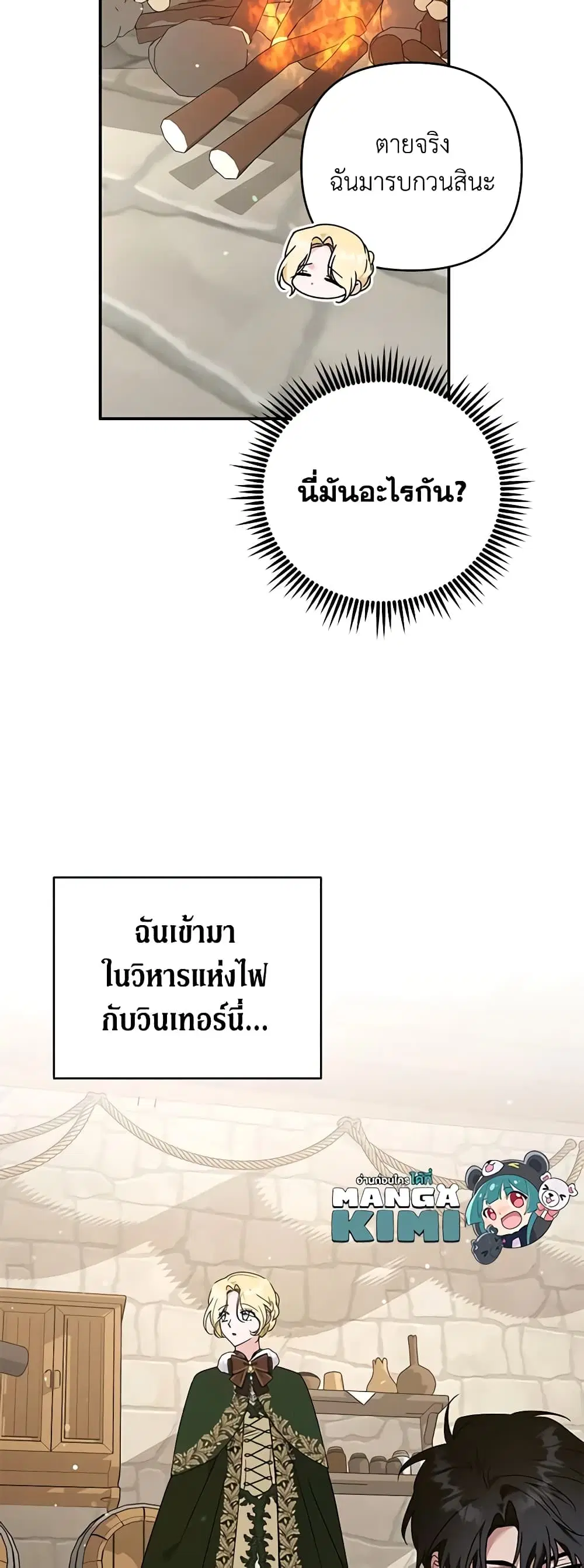 หน้า 29 จาก 49