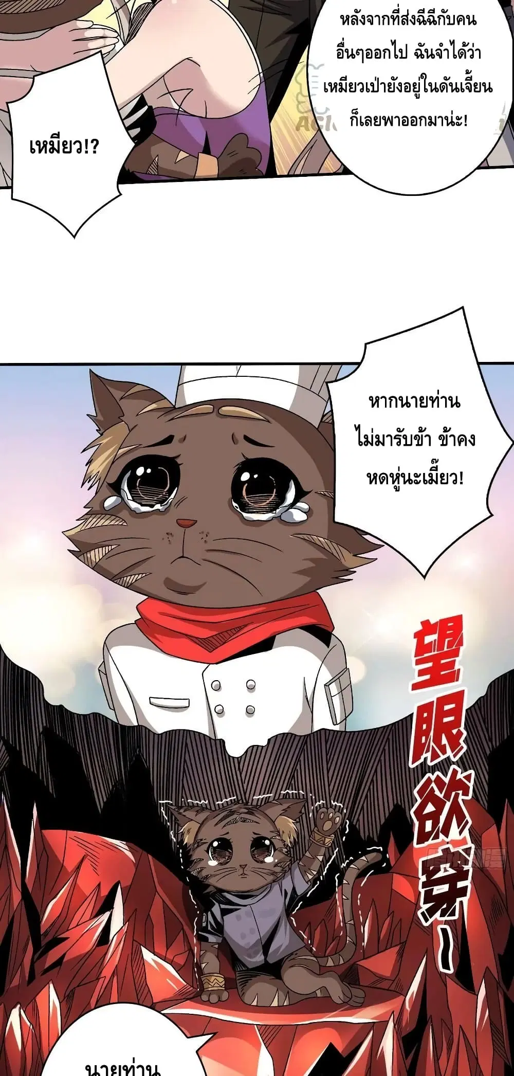 หน้า 33 จาก 42
