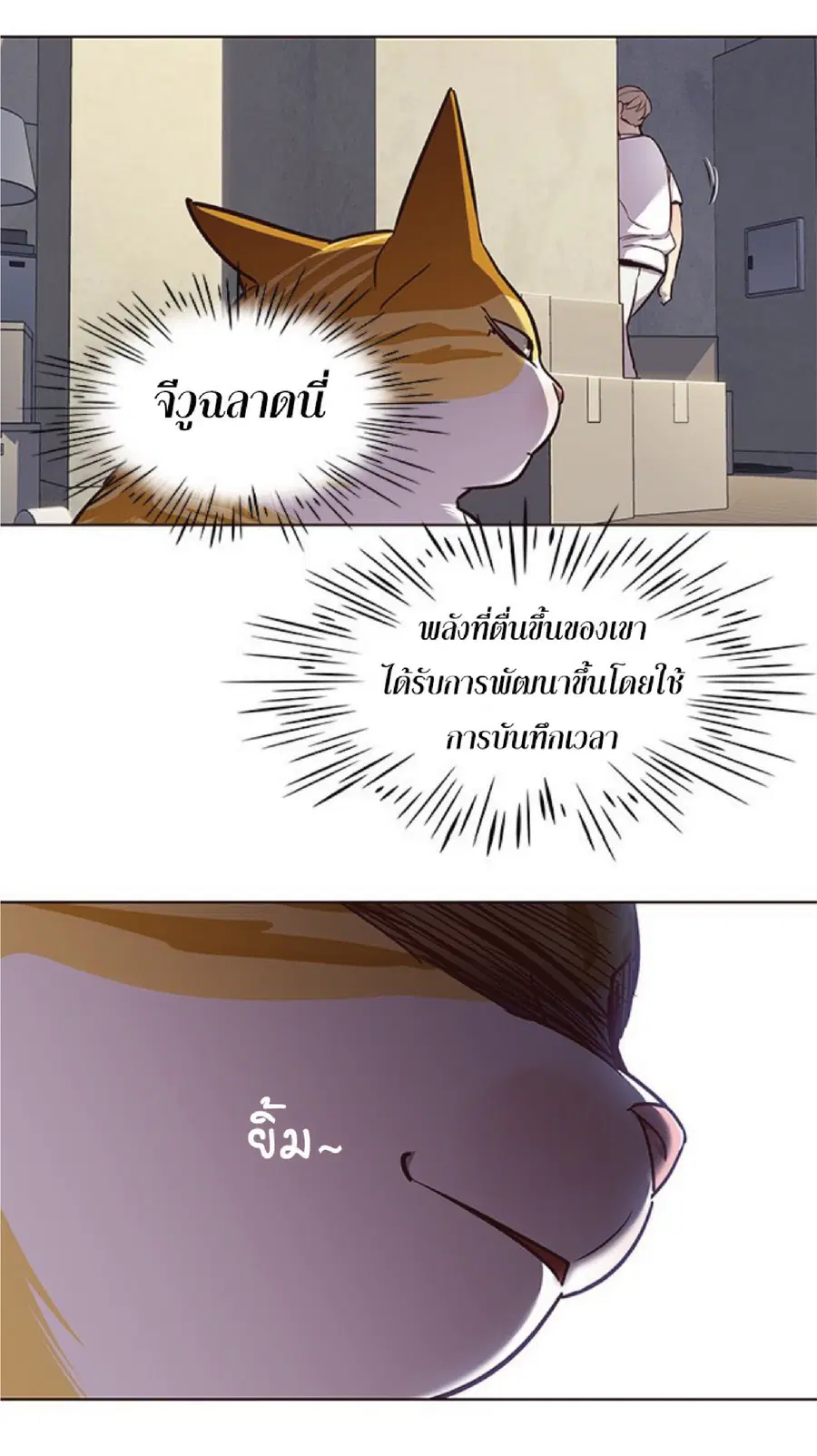 หน้า 53 จาก 81