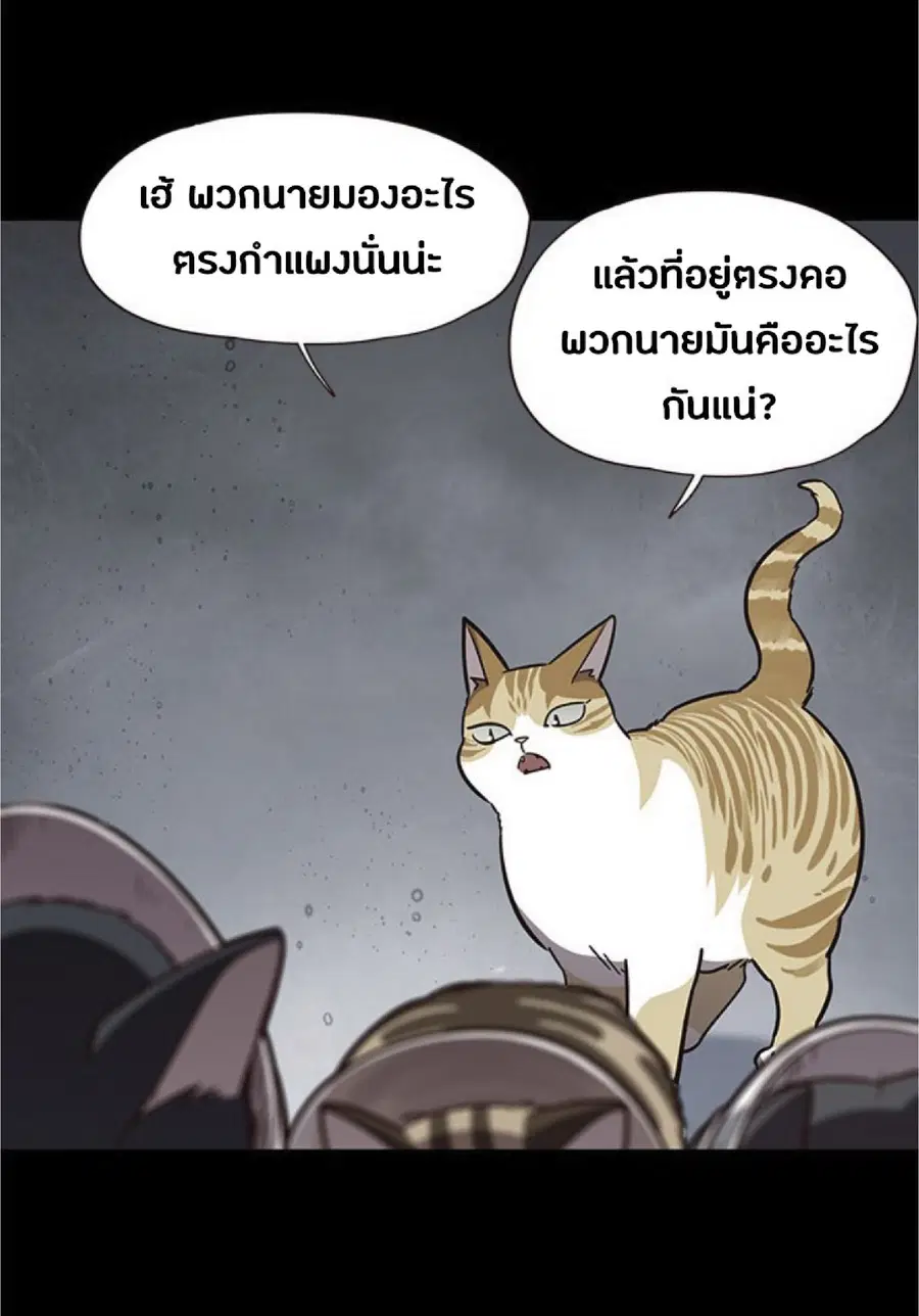 หน้า 5 จาก 78