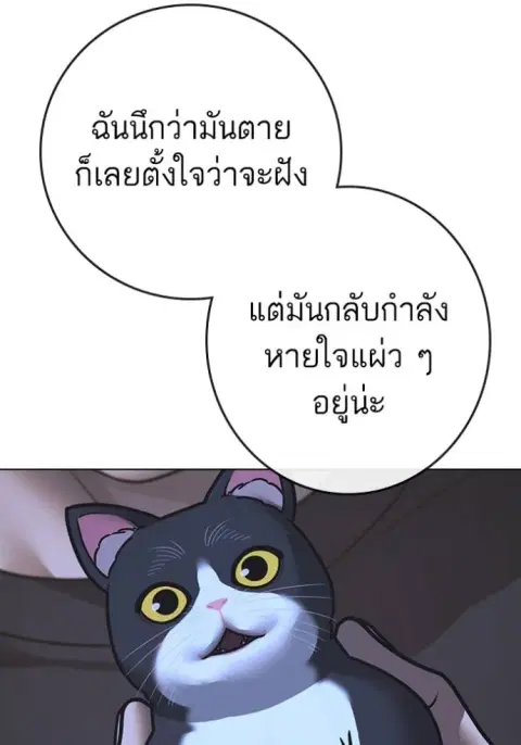 หน้า 20 จาก 204