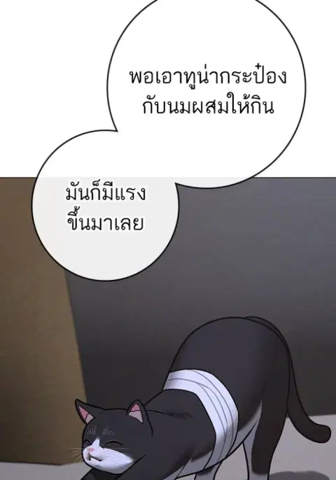 หน้า 22 จาก 204
