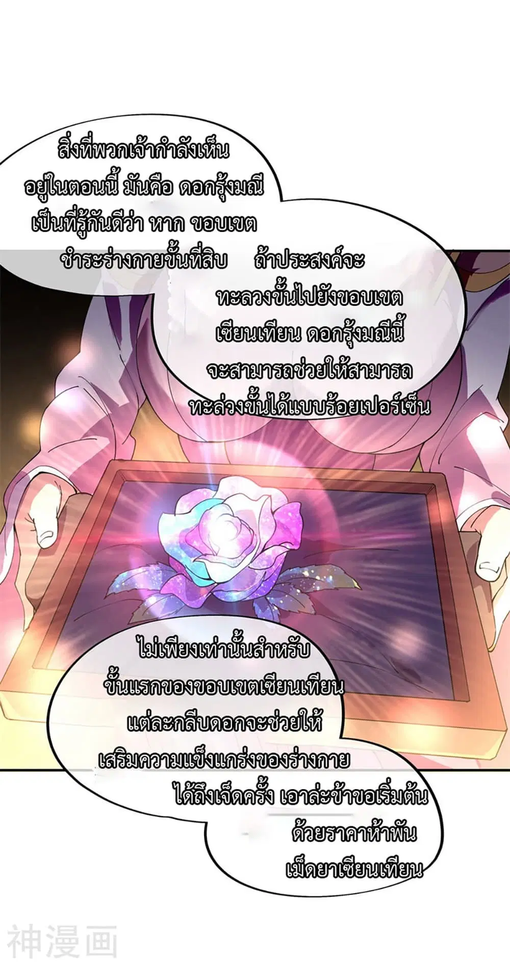 หน้า 11 จาก 27