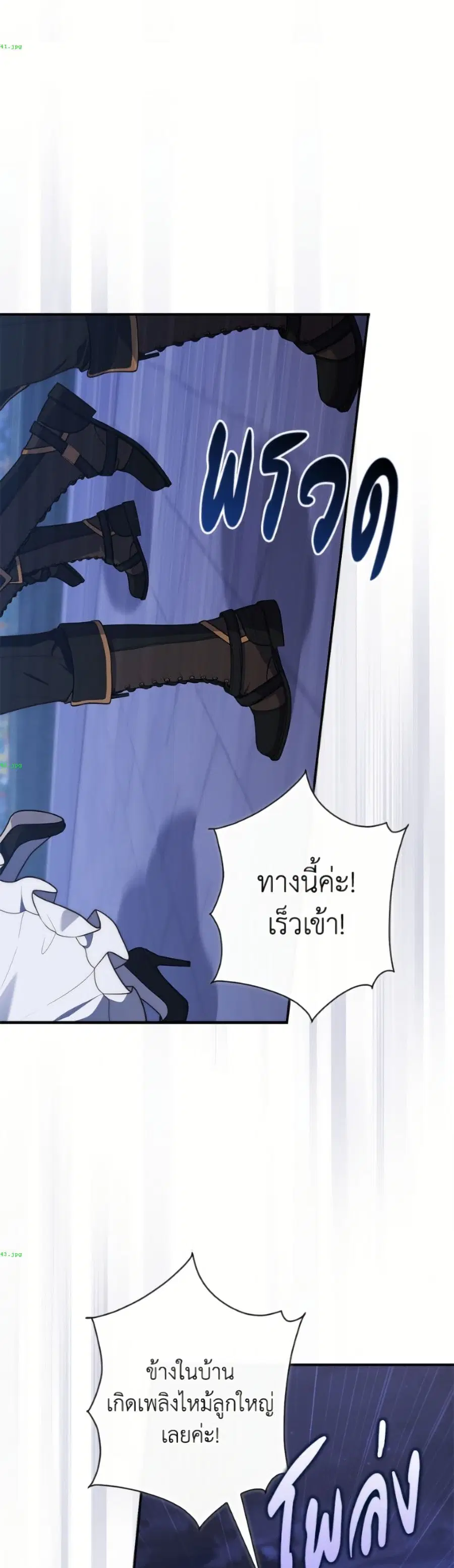 หน้า 19 จาก 52