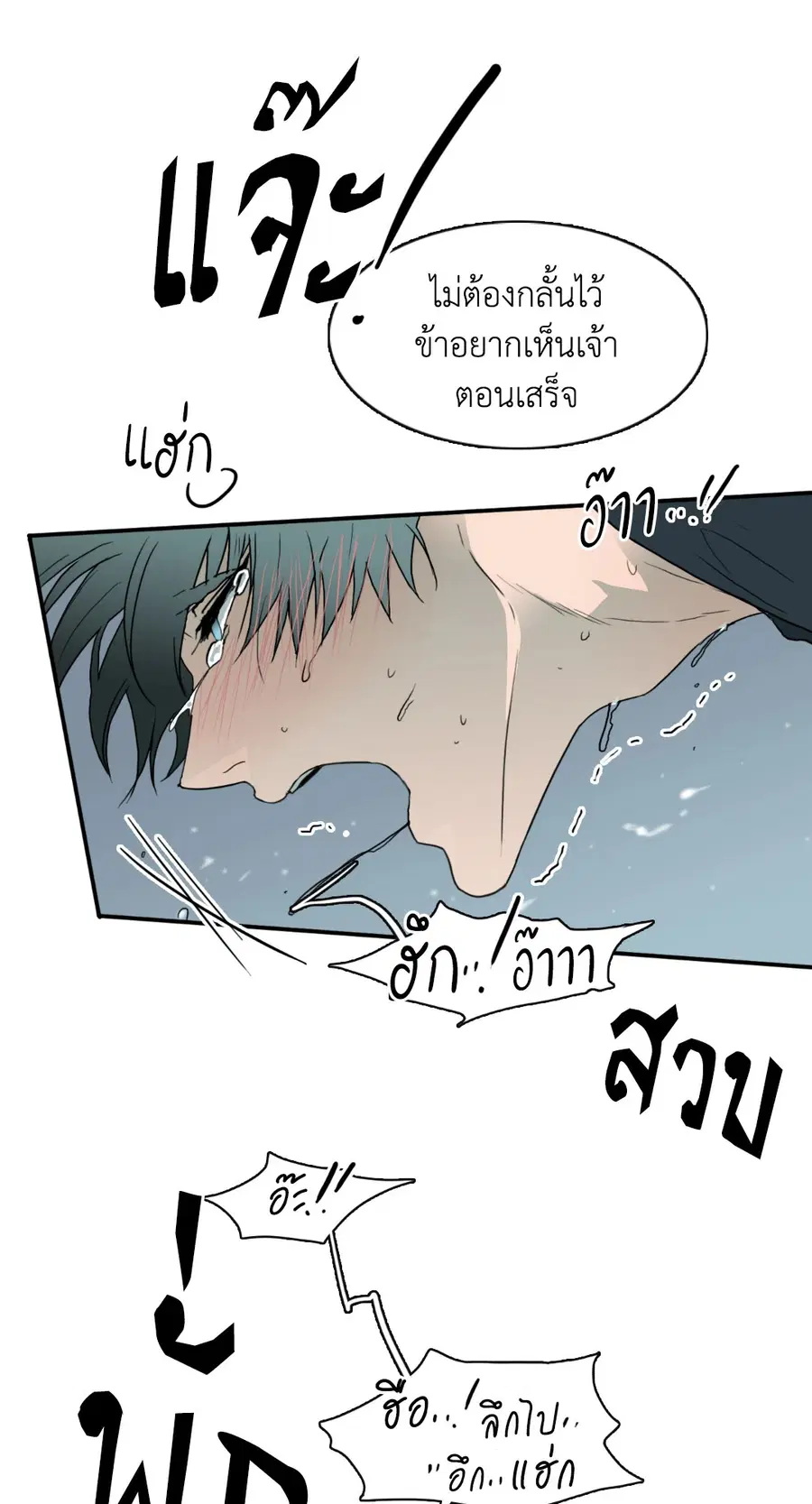 หน้า 29 จาก 59
