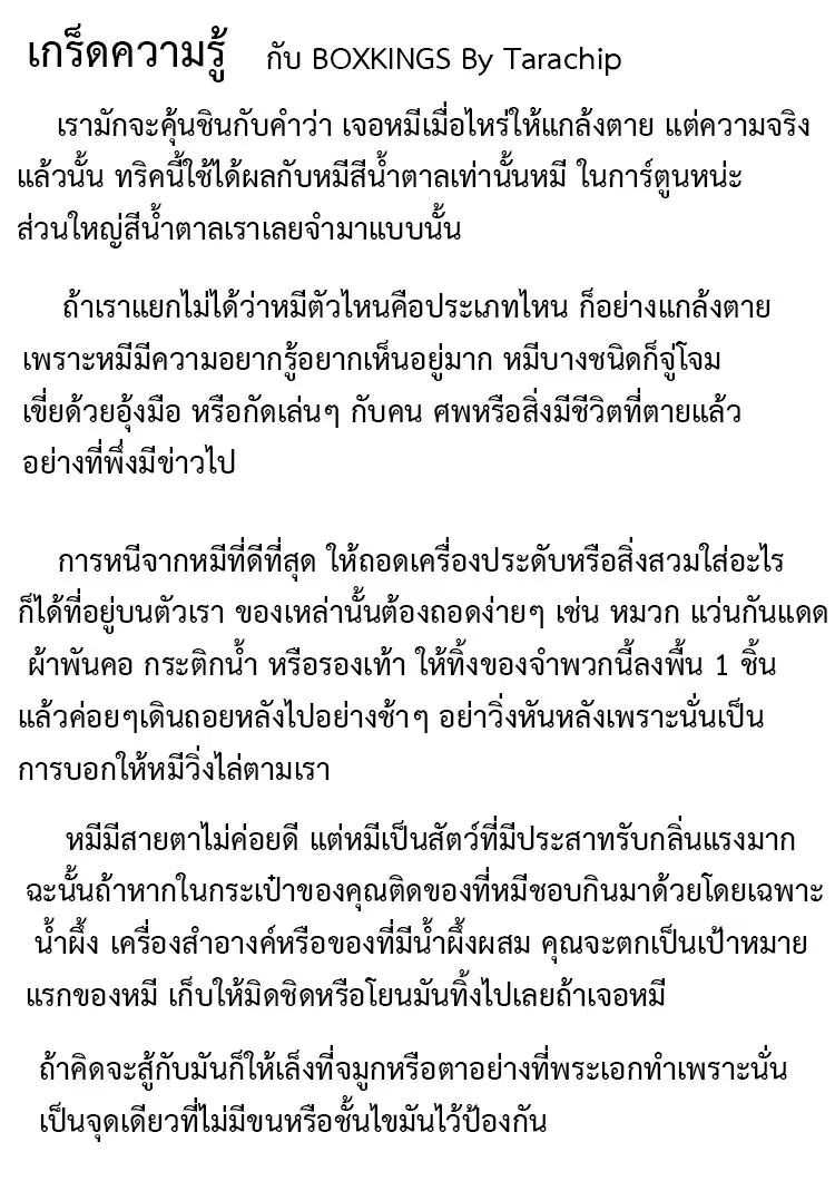 หน้า 25 จาก 26