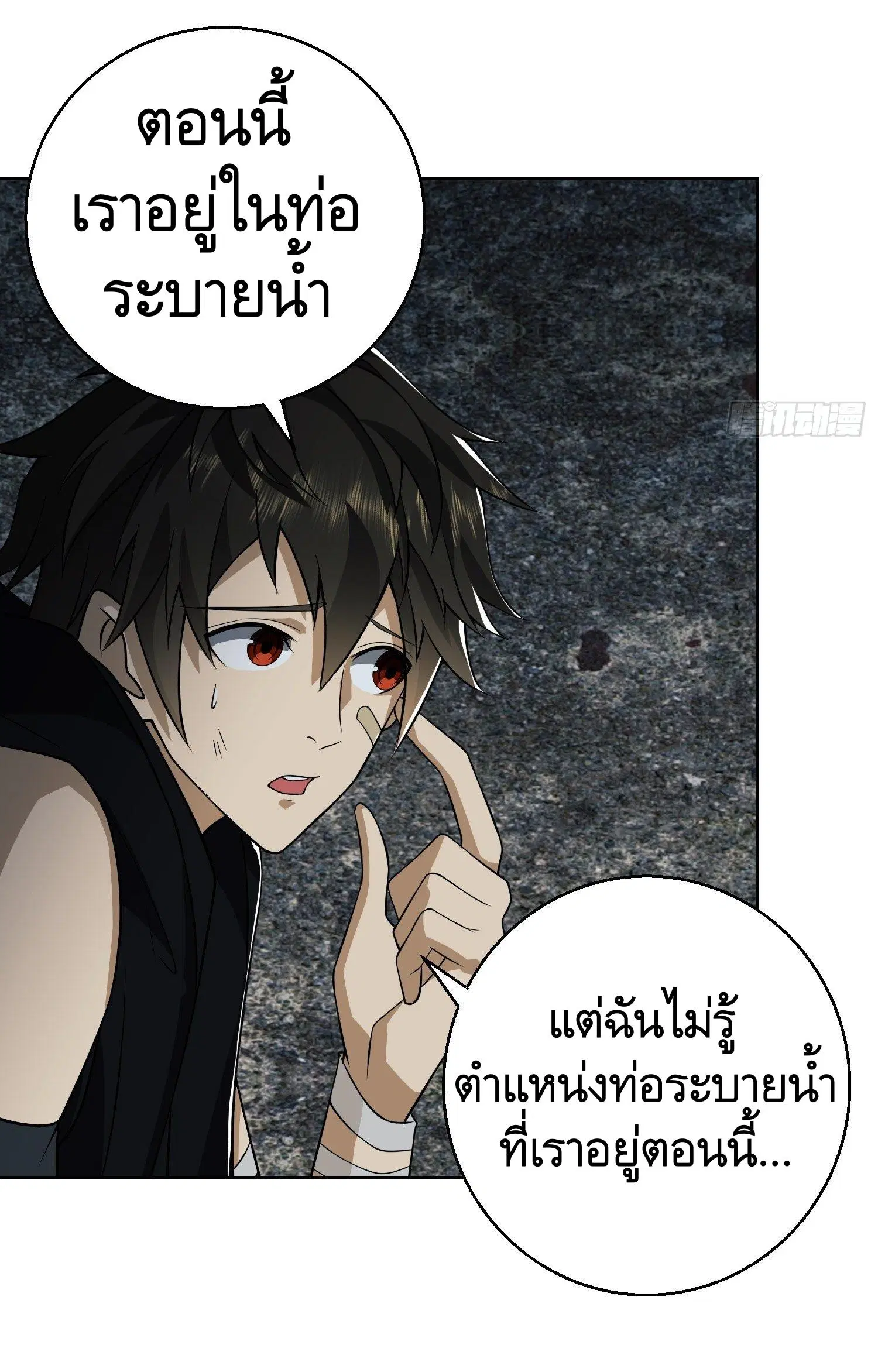 หน้า 43 จาก 56