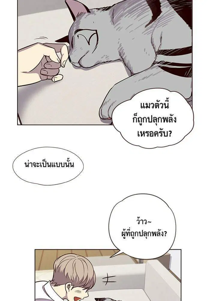 หน้า 8 จาก 85