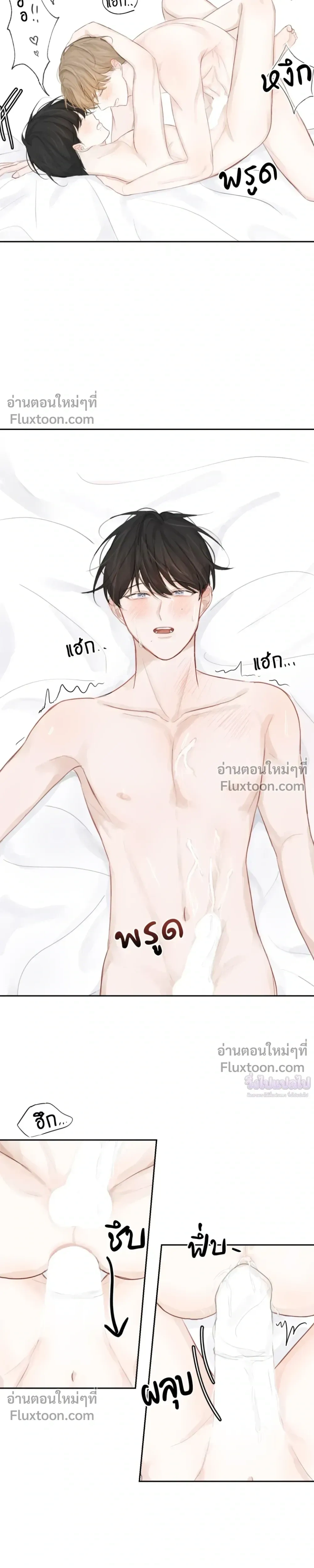 หน้า 19 จาก 21