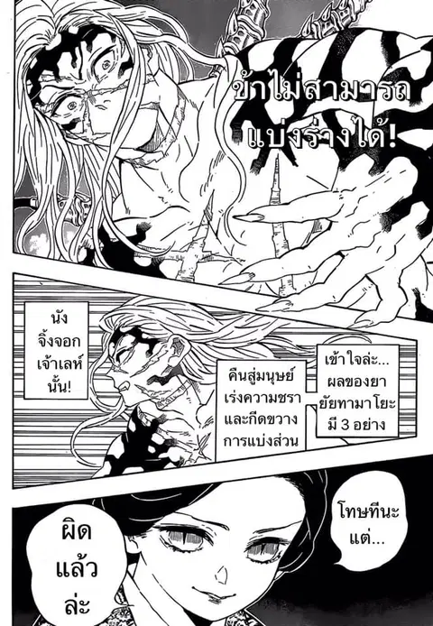 หน้า 18 จาก 19