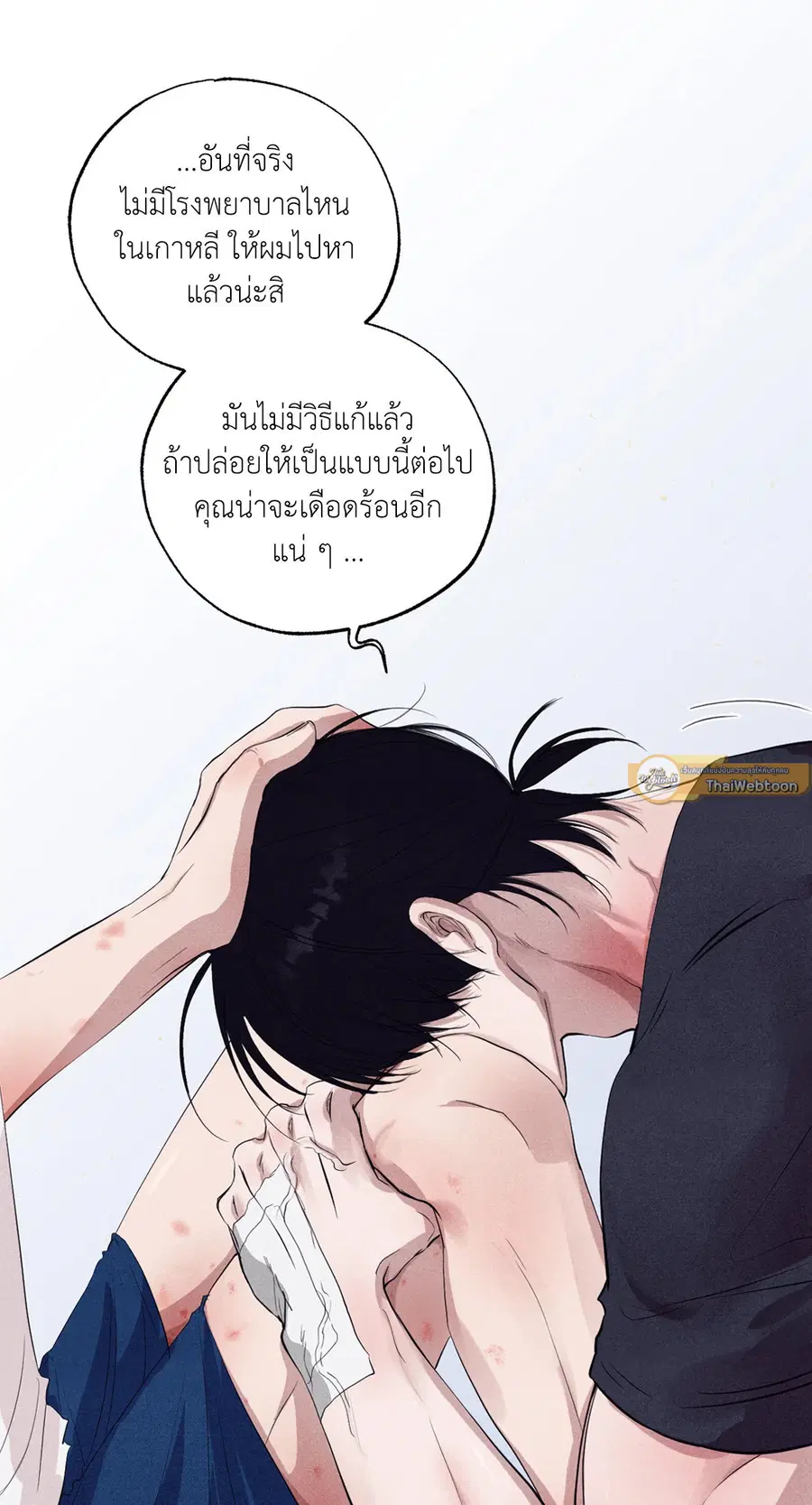 หน้า 12 จาก 97