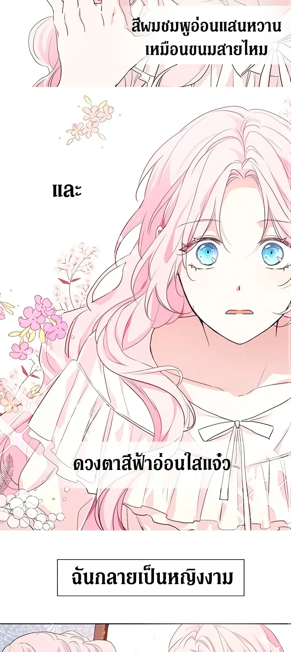 หน้า 6 จาก 29